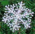 Christmas Snowflake Piece Winding Snowflake Piece Christmas Tree Decoration Article Atmosphere Pendant