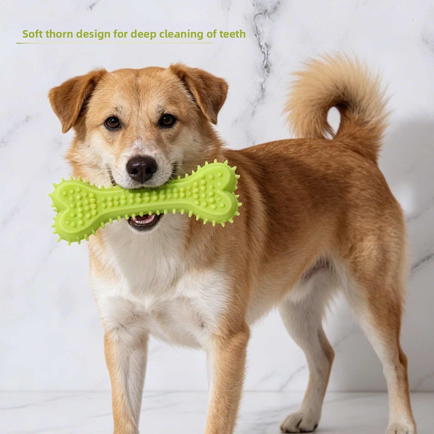 TPR Dental Chew Sticks for Dogs and Cats